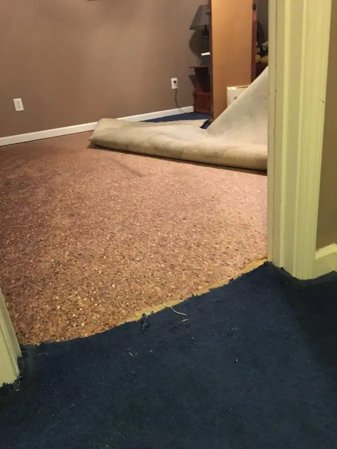 Carpet pad removal revealing water damage during Drying & Dehumidification in St. Joseph